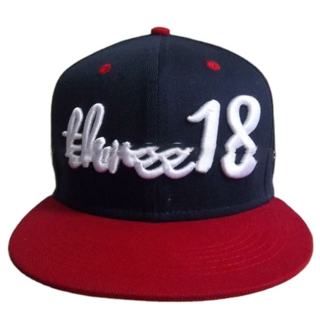 6 Panel cap custom 3d embroidery rebound cap custom sublimation printing